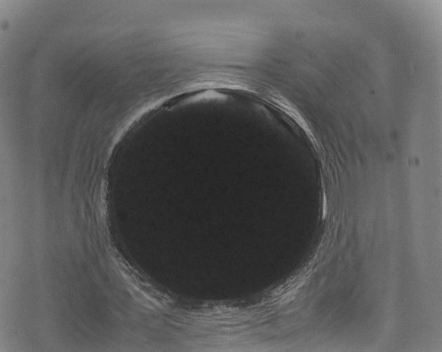 X0000072500387200607211255