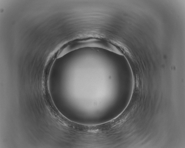 X0000072500388200607211255