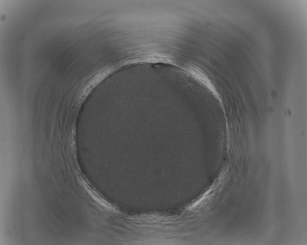 X0000072500389200607211255