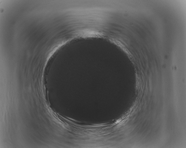 X0000072500391200607211255