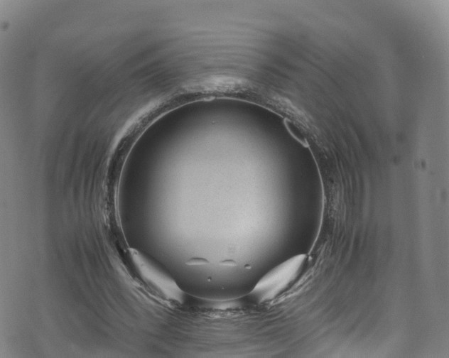 X0000072500392200607211255