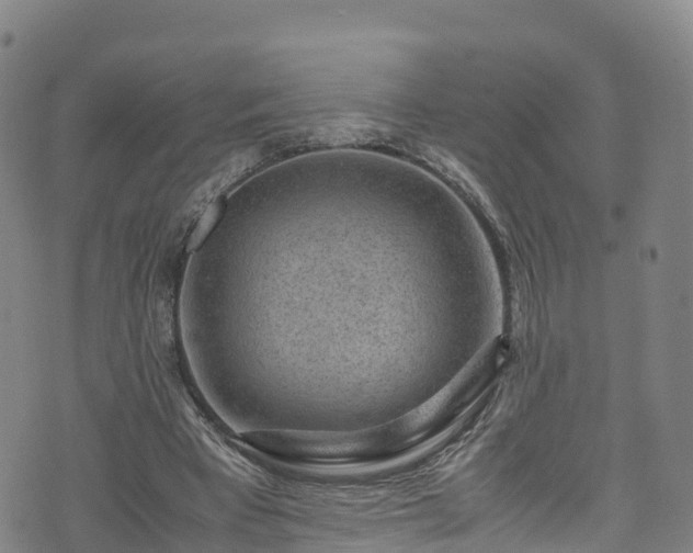 X0000072500393200607211255