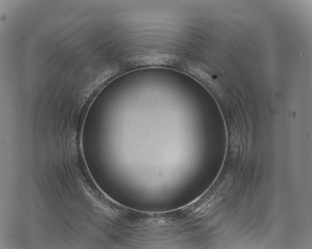 X0000072500394200607211255