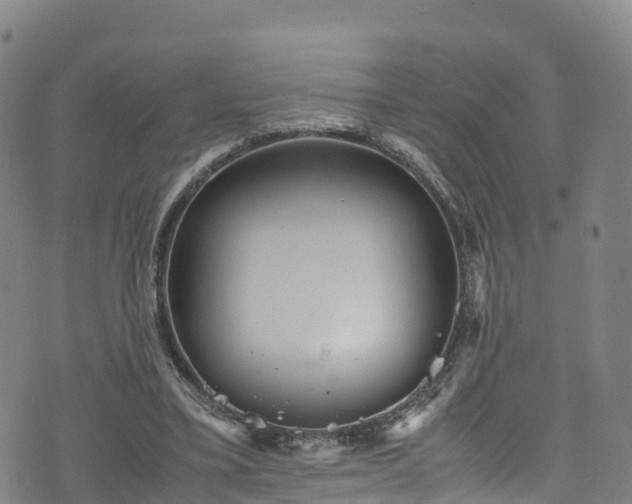 X0000072500395200607211255