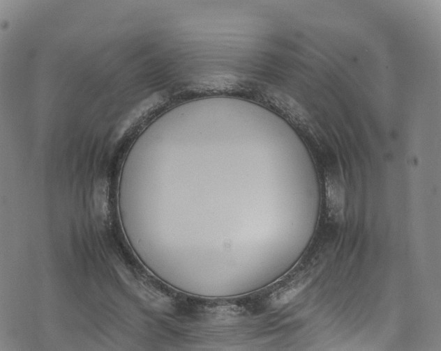 X0000072500396200607211255