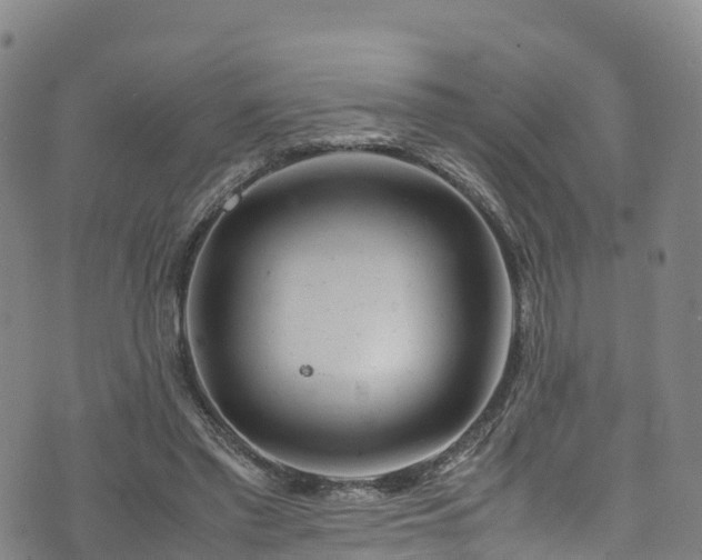 X0000072500397200607211255