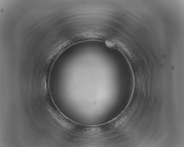 X0000072500398200607211255