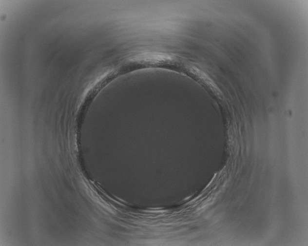 X0000072500399200607211255