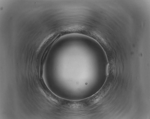 X0000072500400200607211255