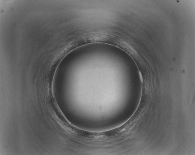 X0000072500401200607211255