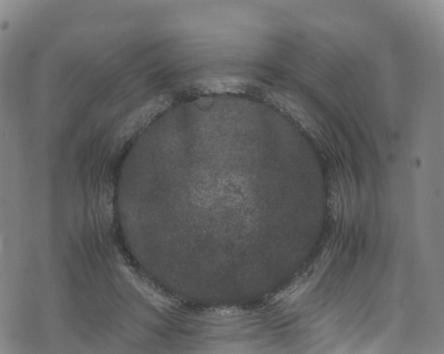 X0000072500402200607211255