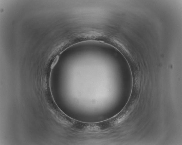 X0000072500403200607211255