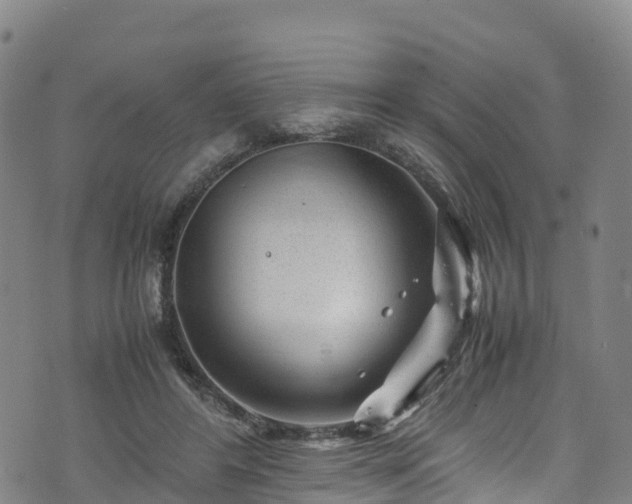 X0000072500404200607211254