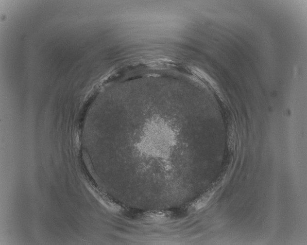 X0000072500405200607211254