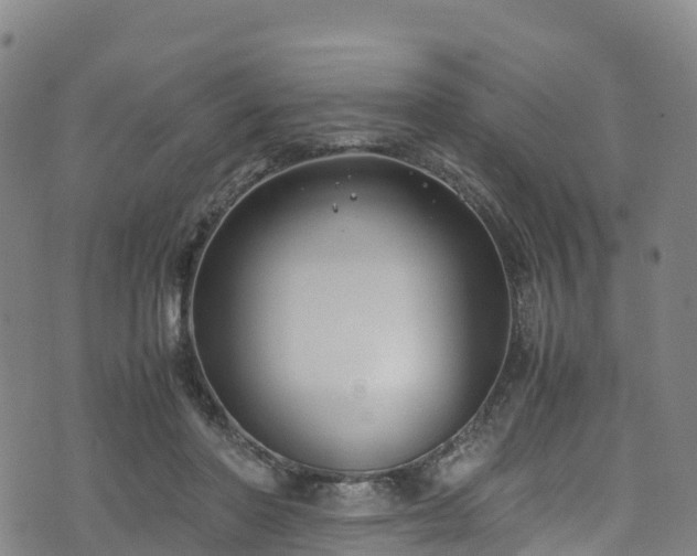 X0000072500406200607211254