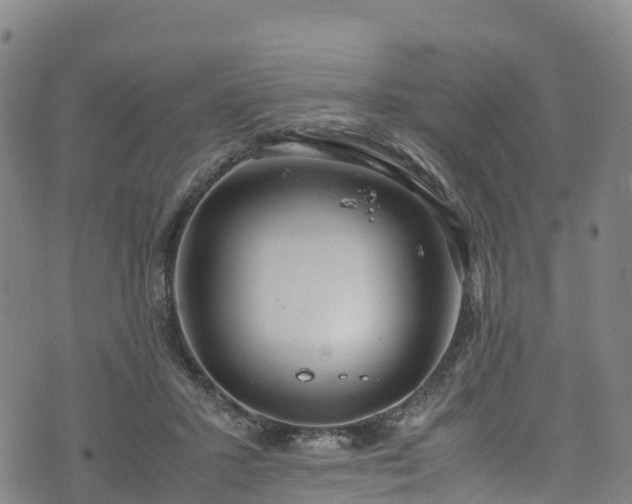 X0000072500407200607211254