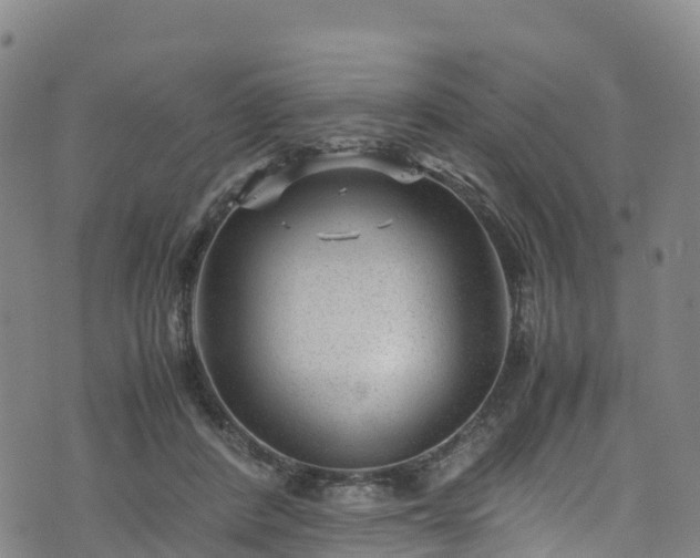 X0000072500408200607211254