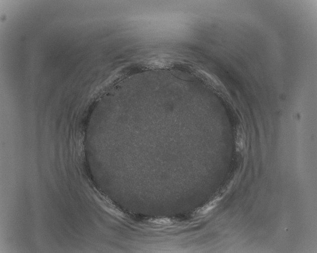 X0000072500409200607211254