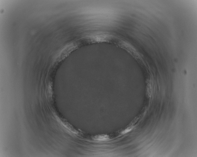 X0000072500410200607211254