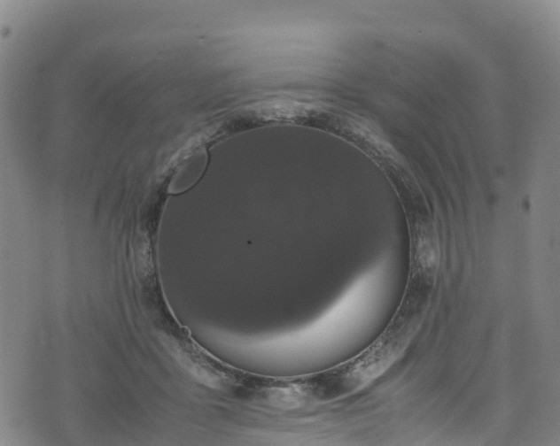 X0000072500411200607211254