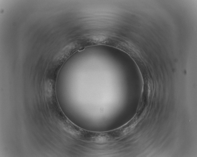 X0000072500412200607211254