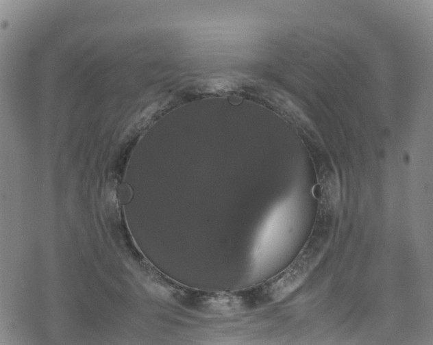 X0000072500415200607211254