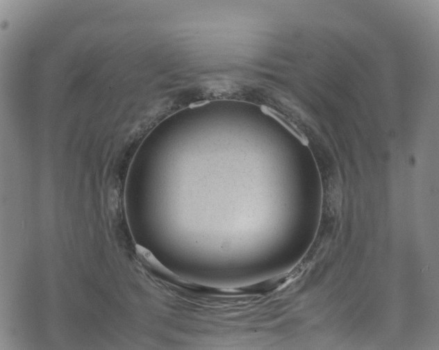 X0000072500417200607211254