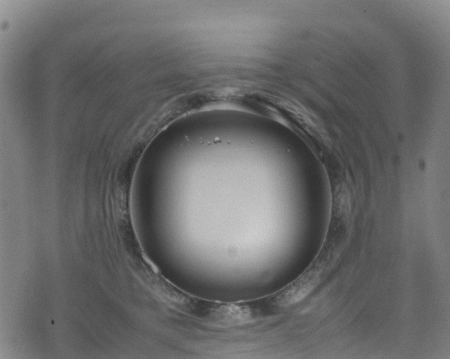 X0000072500421200607211254