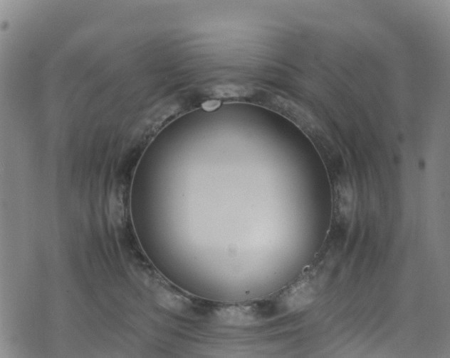 X0000072500422200607211254