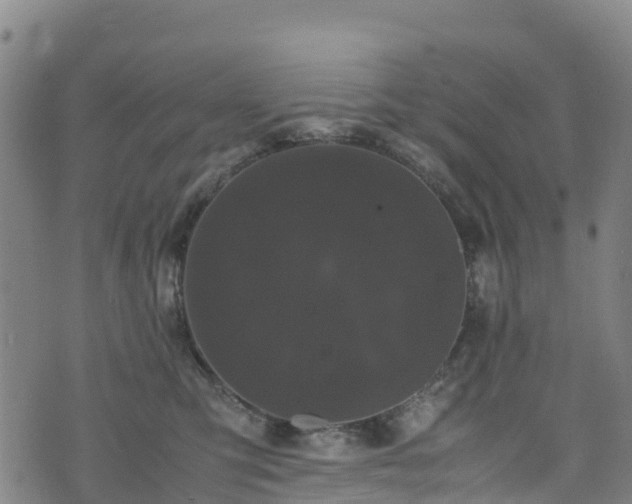 X0000072500423200607211254