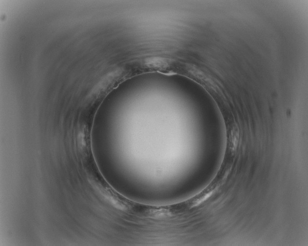 X0000072500424200607211254