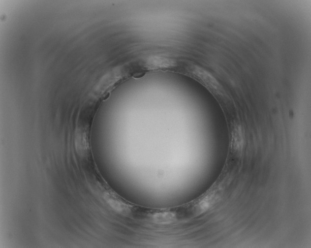 X0000072500426200607211254