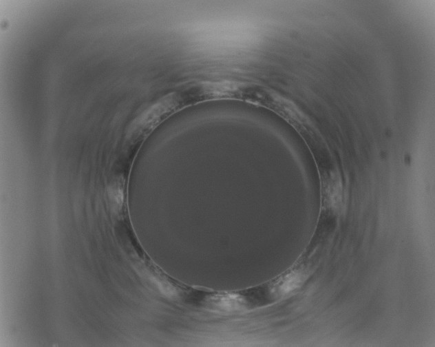 X0000072500427200607211254