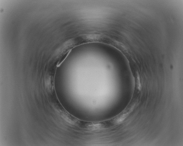 X0000072500428200607211254