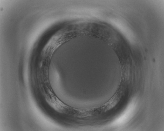 X0000072500431200607211254