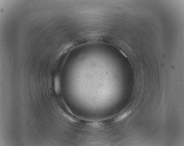 X0000072500432200607211254