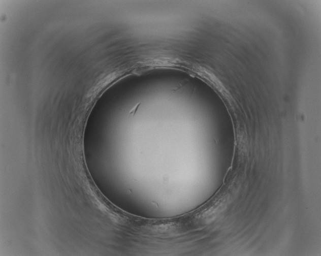 X0000072500433200607211253