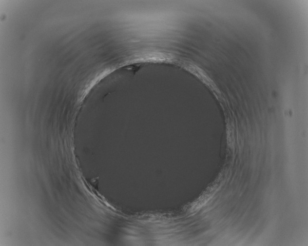 X0000072500434200607211253