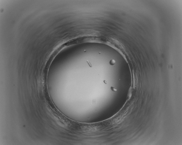 X0000072500435200607211253