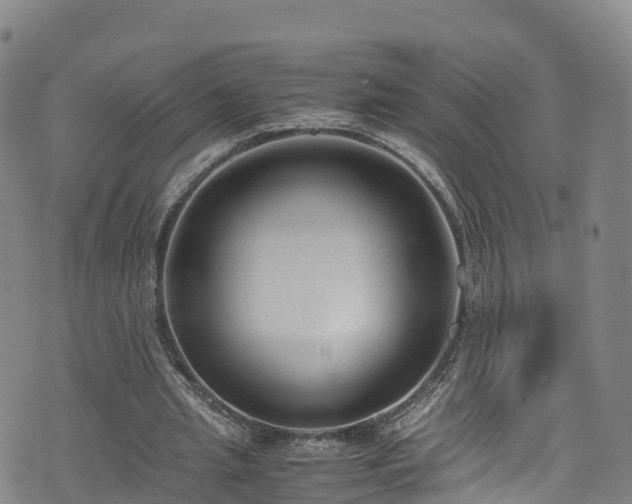 X0000072500437200607211253