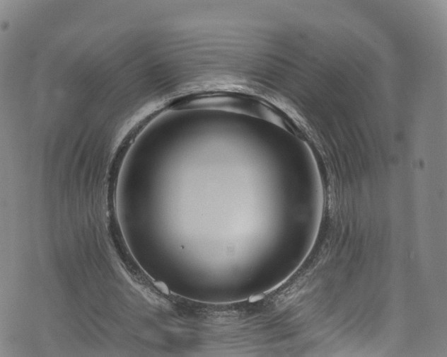 X0000072500438200607211253