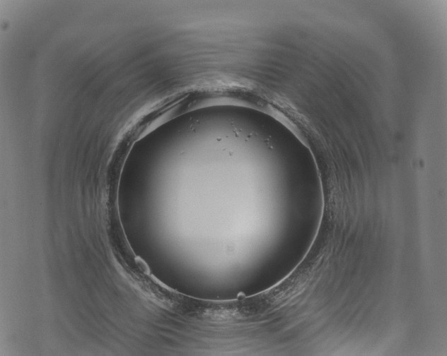 X0000072500440200607211253