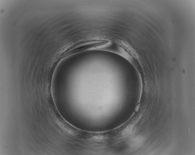 X0000072500441200607211253