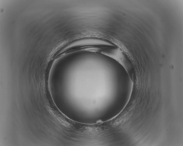 X0000072500442200607211253