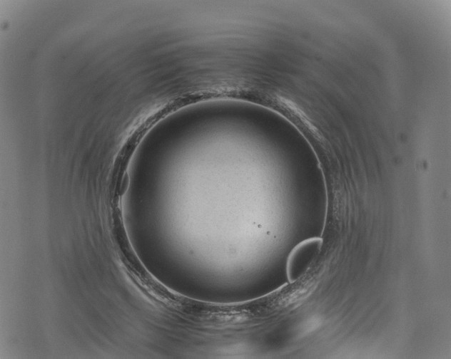 X0000072500443200607211253