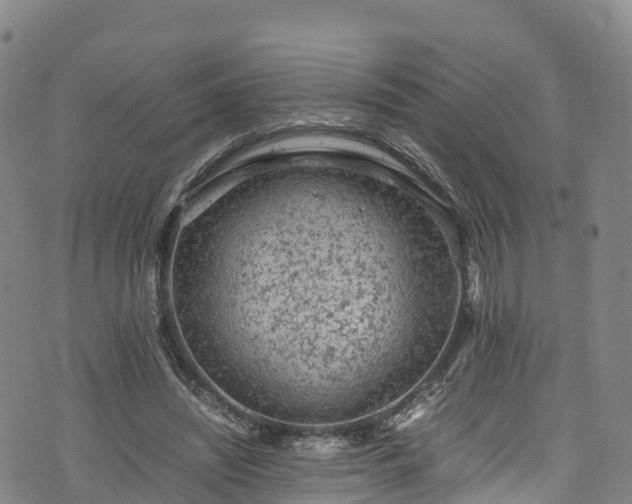 X0000072500444200607211253