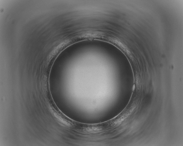 X0000072500445200607211253