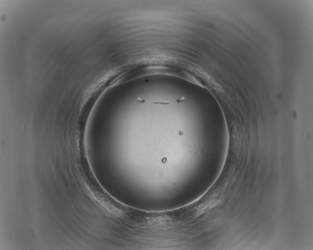 X0000072500446200607211253