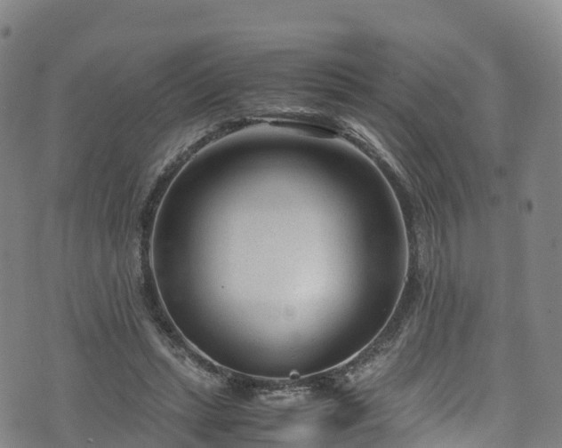 X0000072500447200607211253