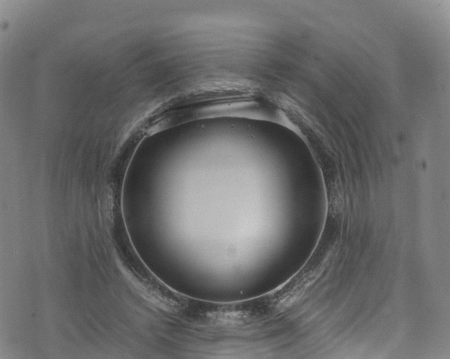 X0000072500448200607211253